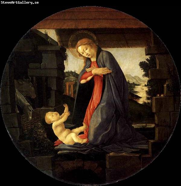 BOTTICELLI, Sandro The Virgin Adoring the Child